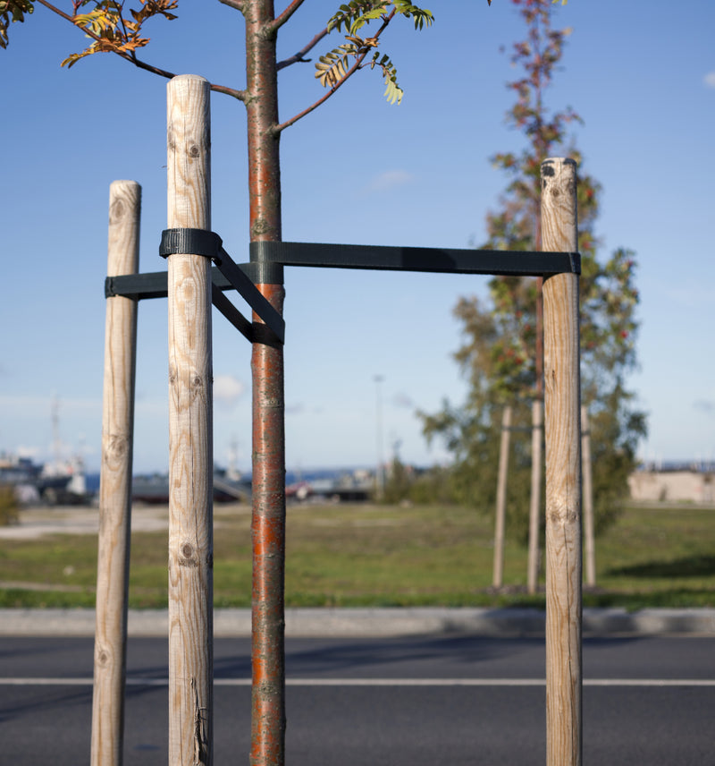 Lodge Pole Tree Stake 6 ft (12 Pack) RC80NR612U | Greenes