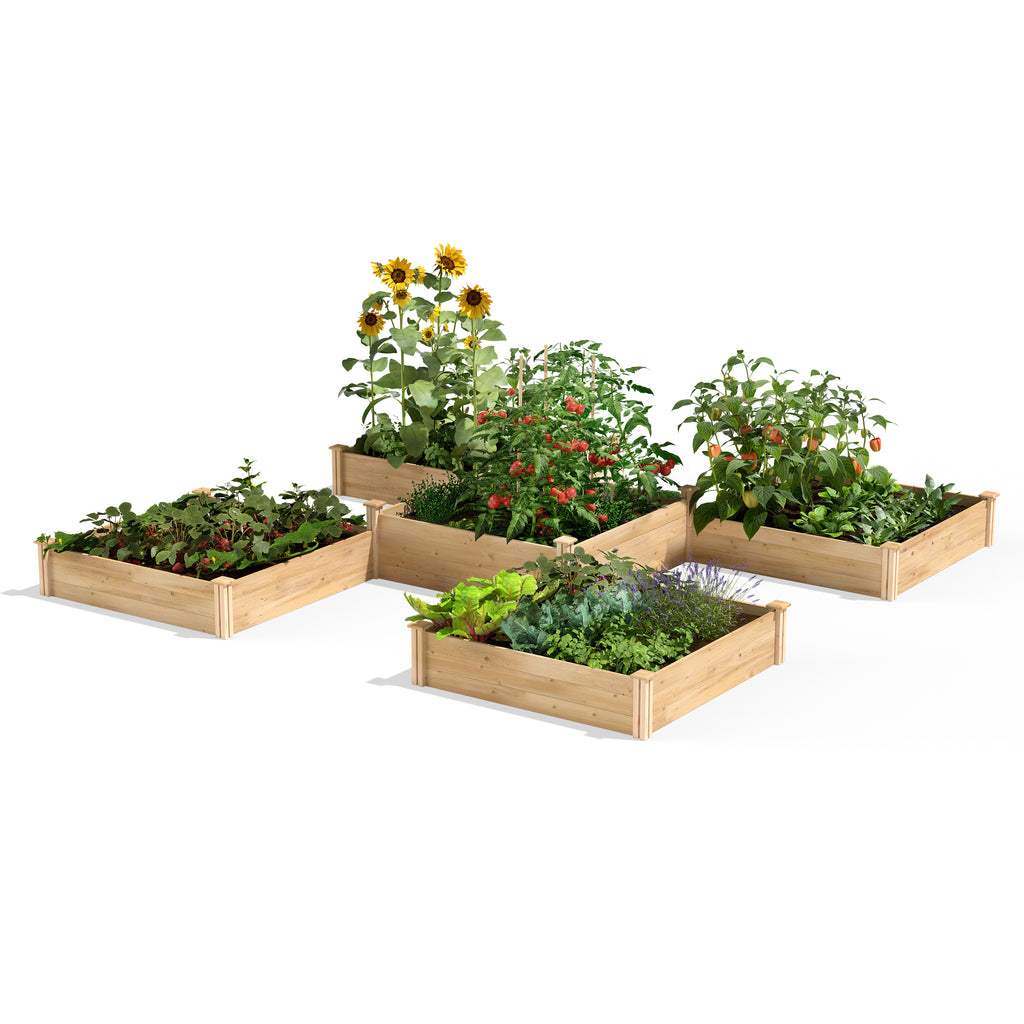Original Cedar / Pine Raised Garden Bed 80 sq ft 12 ft x 12 ft RC12T8S64B / RCP12T8S64B