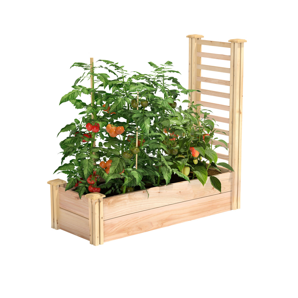 Premium Cedar Raised Garden Bed with Trellis