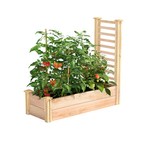 Premium Cedar Raised Garden Bed with Trellis