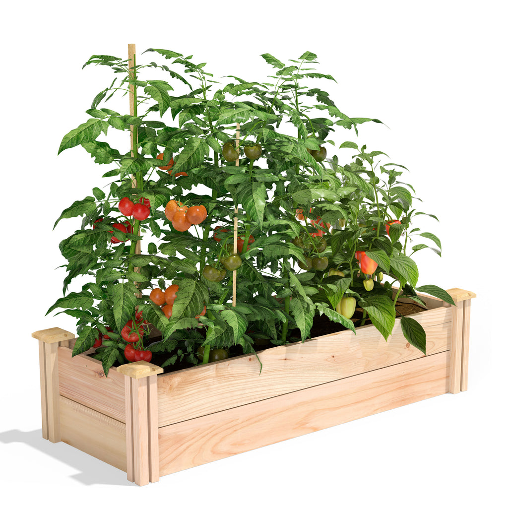 Premium Cedar Raised Garden Bed 4 ft x 16 in x 11 in RC164812P