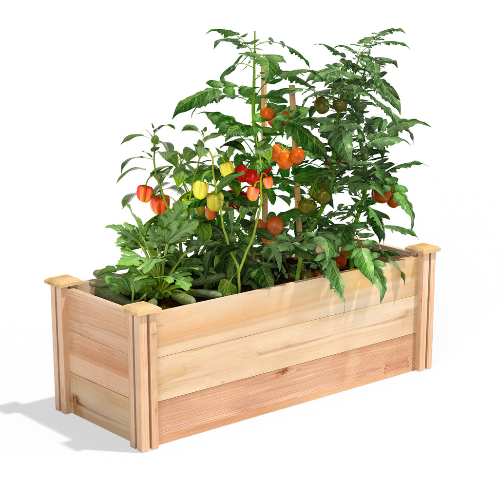 Premium Cedar Raised Garden Bed 16 in x 4 ft x 16.5 in RC164818P