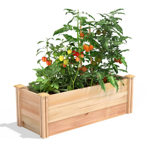 Premium Cedar Raised Garden Bed 16 in x 4 ft x 16.5 in RC164818P