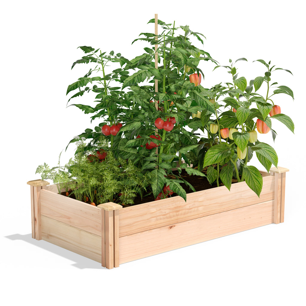 Premium Cedar Raised Garden Bed 2 ft x 4 ft x 11 in RC244812P