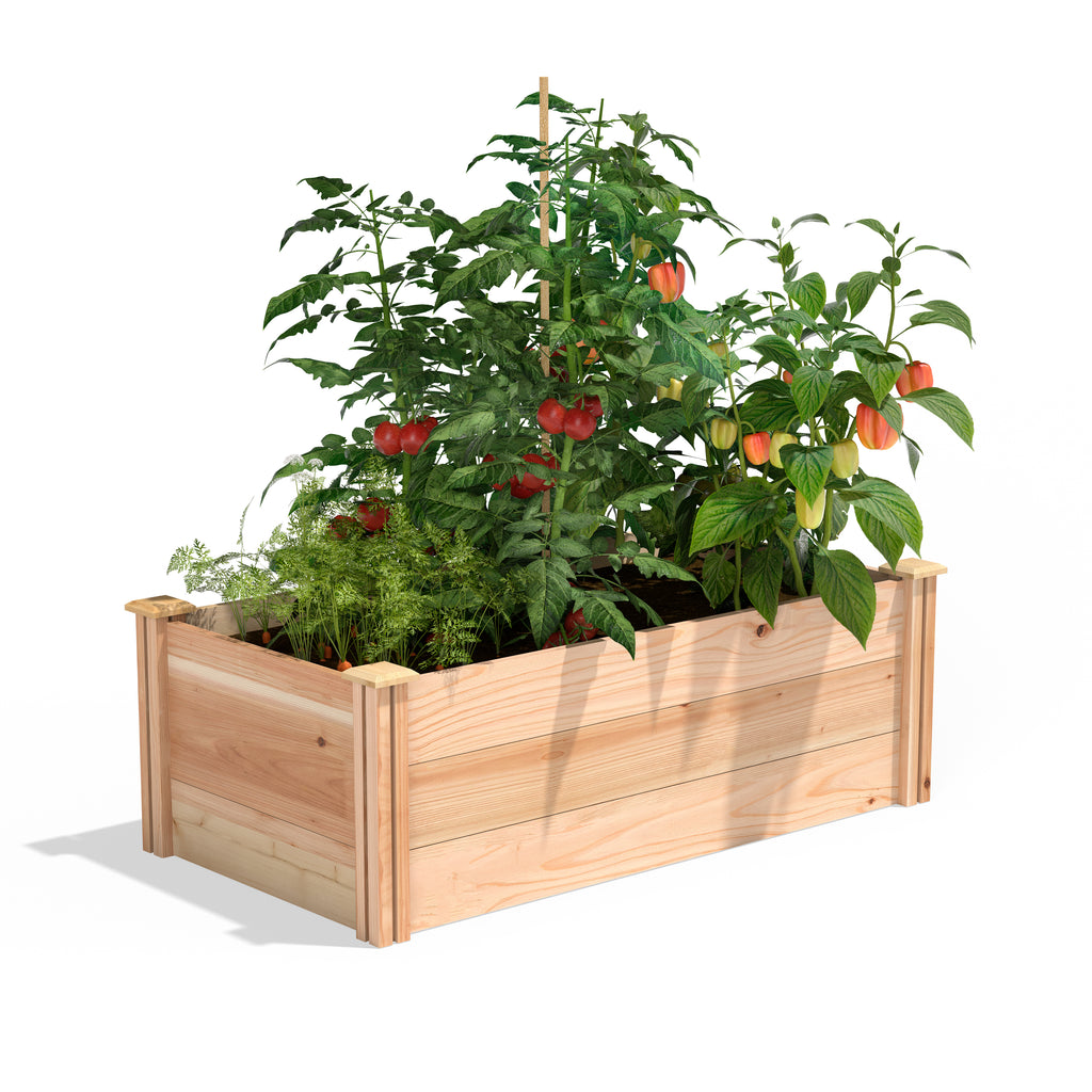 Premium Cedar Raised Garden Bed 2 Ft X 4 Ft X 16.5 In RC244818P