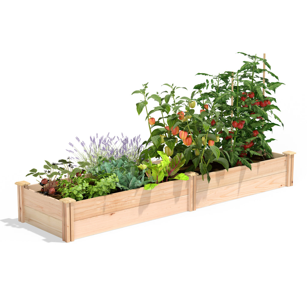 Premium Cedar Raised Garden Bed 2 ft x 8 ft x 11 in RC249612P