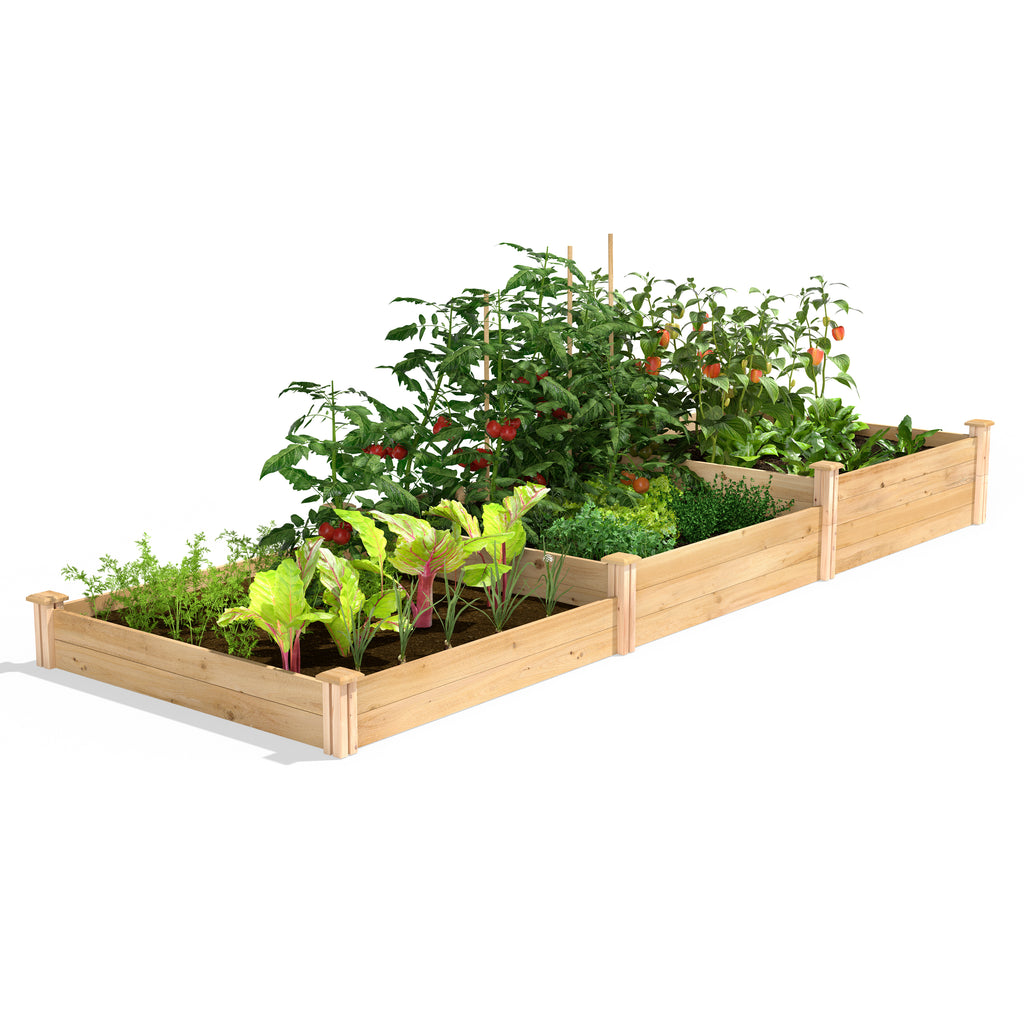 Original Cedar / Pine Raised Garden Bed 3-Tiered 4 ft x 12 ft RC2T10S31B / RCP2T10S31B