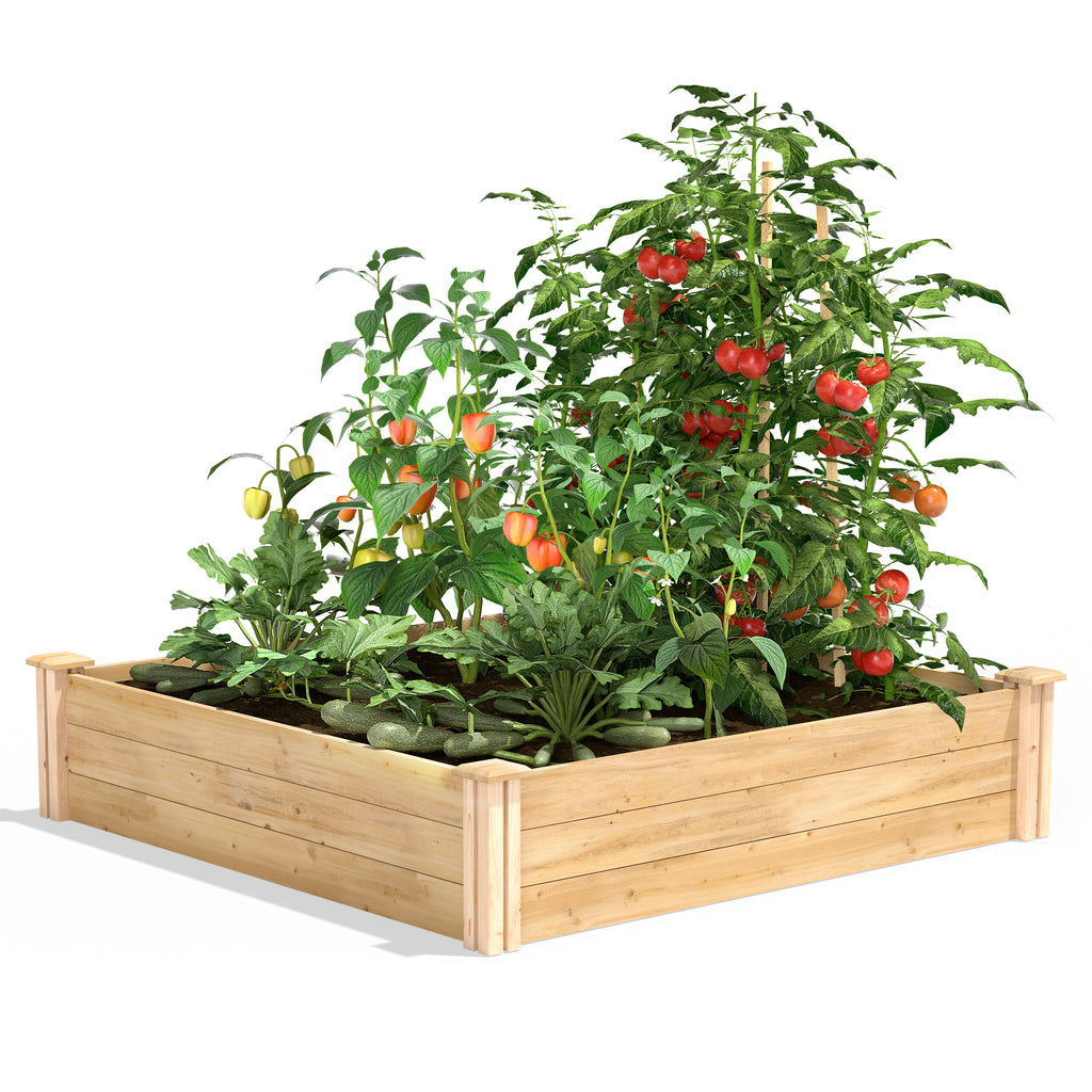 Original Cedar / Pine Raised Garden Bed 4 ft x 4 ft x 10.5 in RC4T12B / RCP4T12B