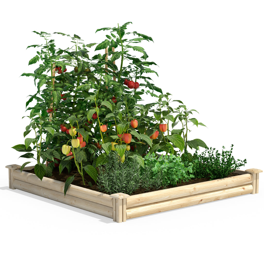 Spruce Raised Garden Bed 4 ft x 4 ft x 5.5 in RCPL446 - 1 Pack for $89.99 or 2 Pack for $101.99 - Sale Price Will Update in Cart