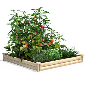 Spruce Raised Garden Bed 4 ft x 4 ft x 5.5 in RCPL446 - 1 Pack for $89.99 or 2 Pack for $101.99 - Sale Price Will Update in Cart