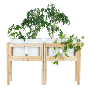 Four Bucket Elevated Cedar Wood Garden Frame, 54 in. x 16 in. x 20 or 30 in.