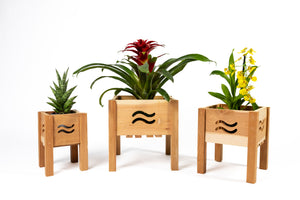 Aromatic Cedar Botanical Display Planter Set with Wave Cutouts RCP3WL