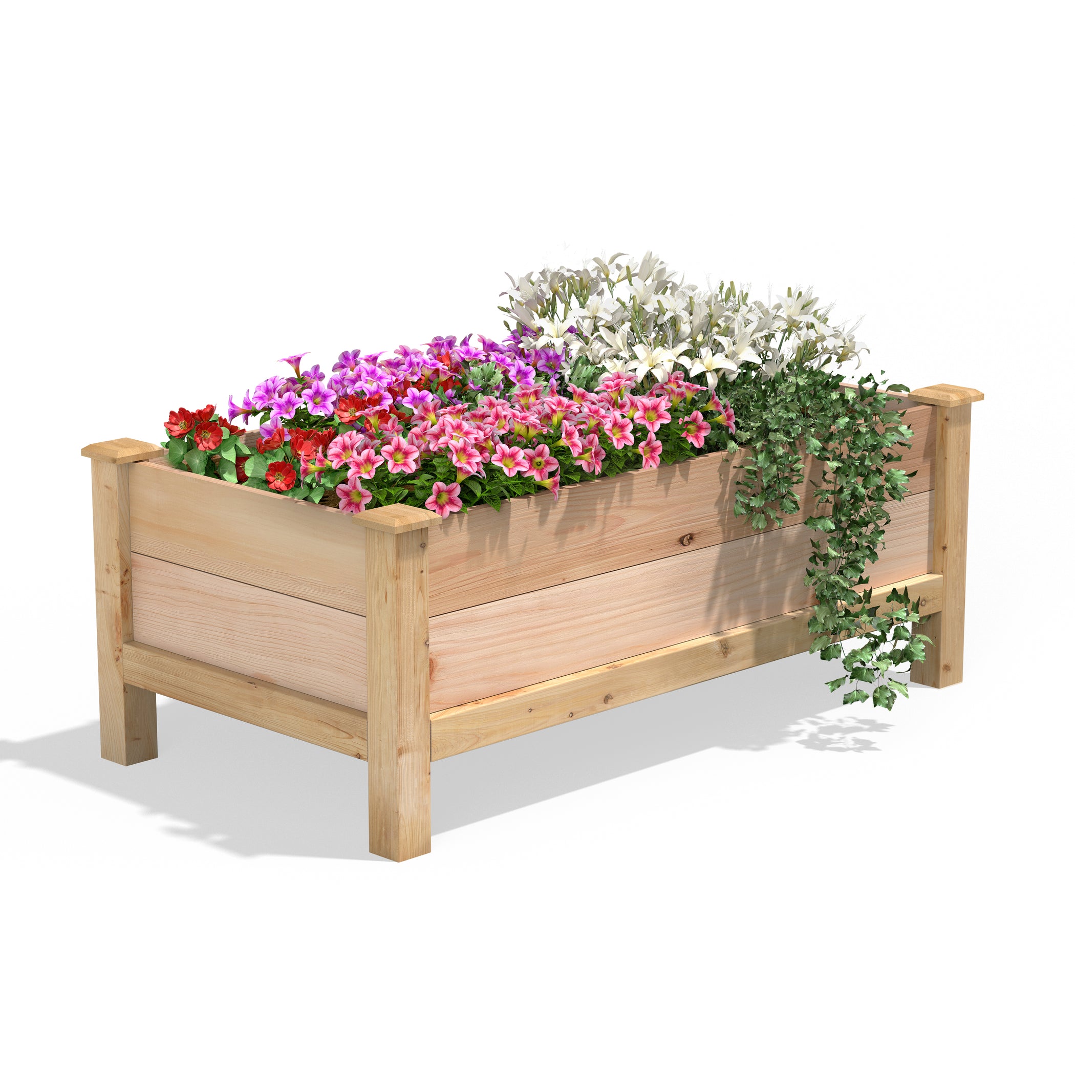 Premium Cedar Elevated Garden Bed 24in x 48in x 19in RCEV244819P